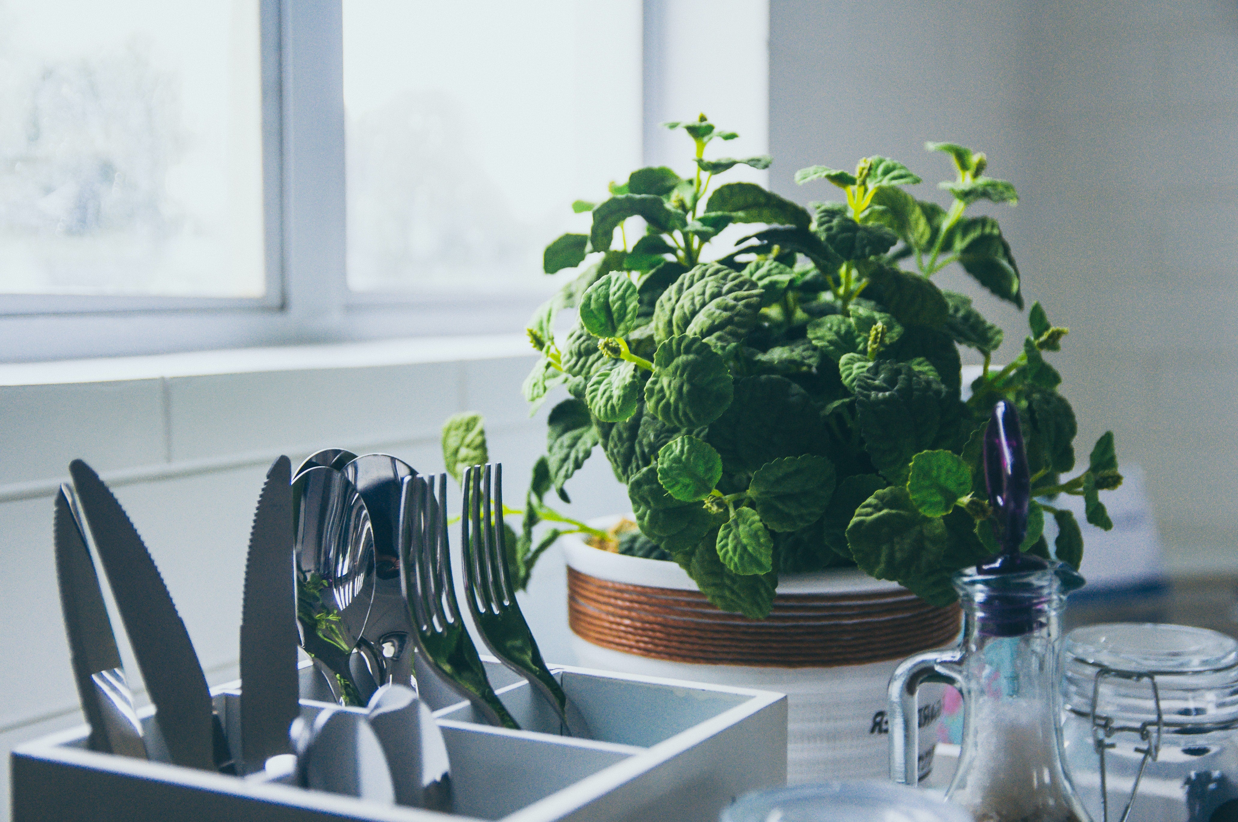 Tips on how to organize the kitchen