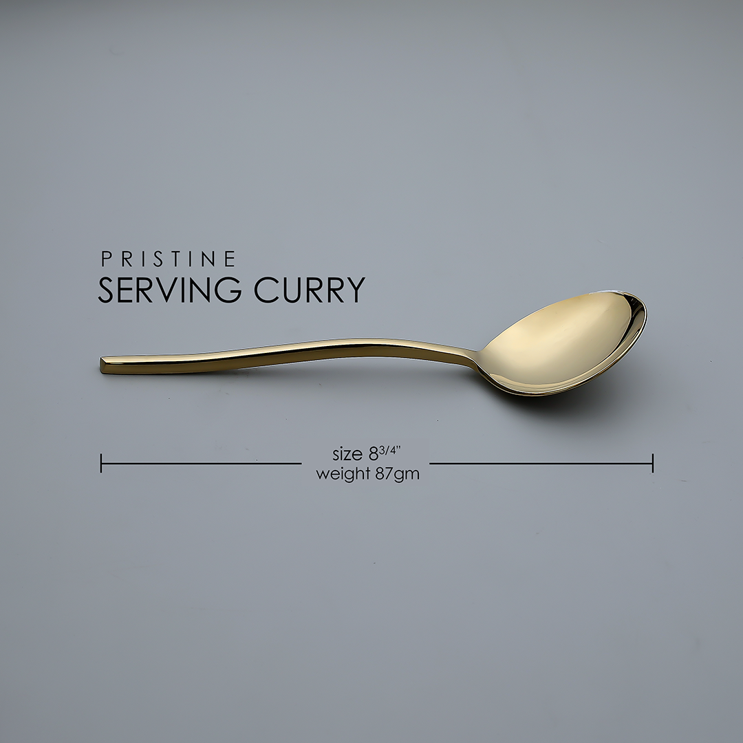 Pristine Serving Curry Spoon (2 pieces)