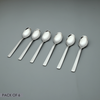 Zena Tea Spoon (6 pieces)
