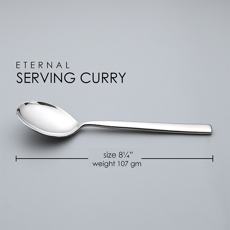 Eternal Serving Curry Spoon (2 pieces)